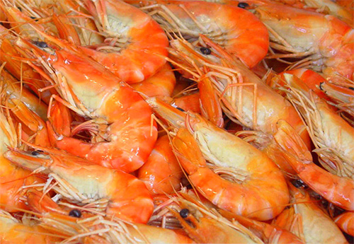 Креветки, мидии и другие морепродукты богаты витамином B12