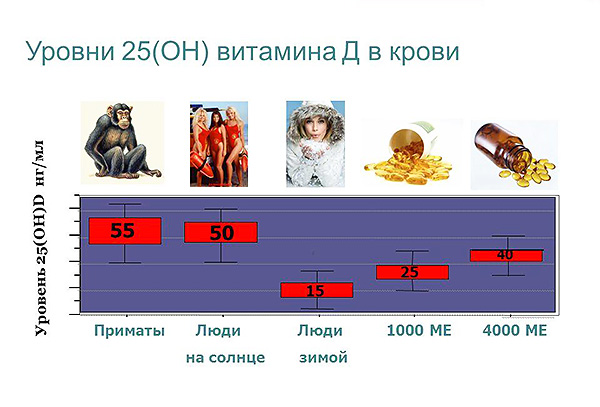 Примеры содержания метаболитов витамина Д в крови.